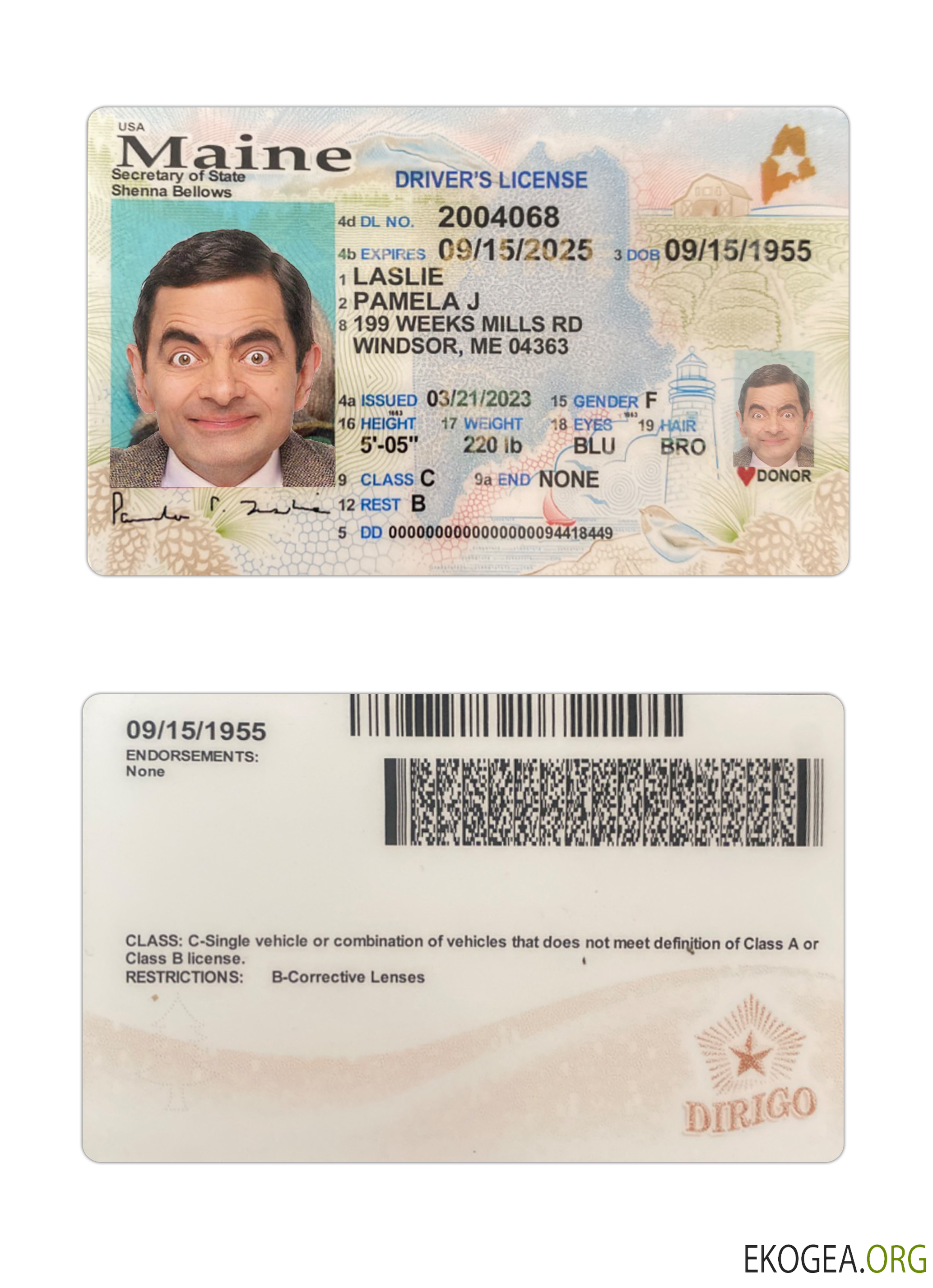 USA Maine driving license 2023 present
